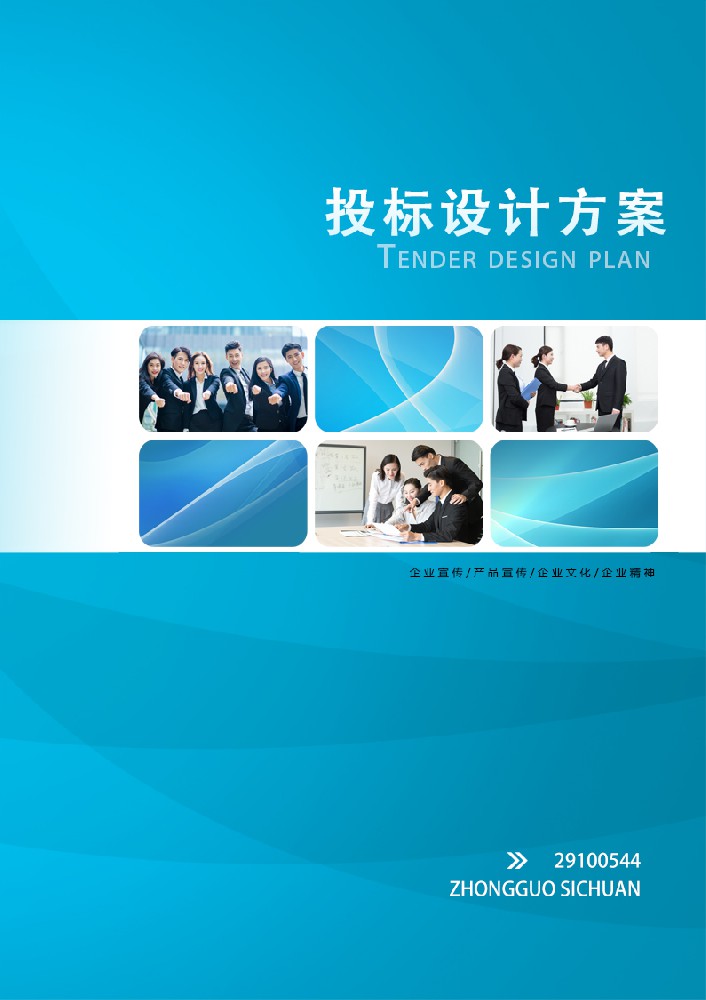 项目施工资质投标书